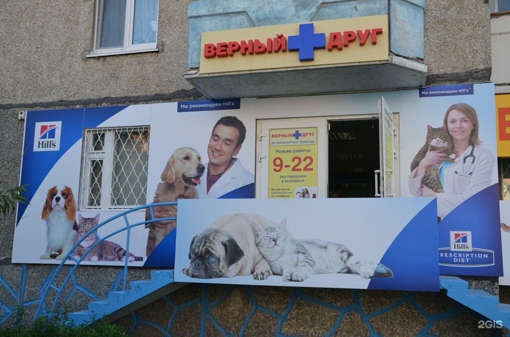 постановлено: ветеринарная клиника верный друг тюмень отзывы простые