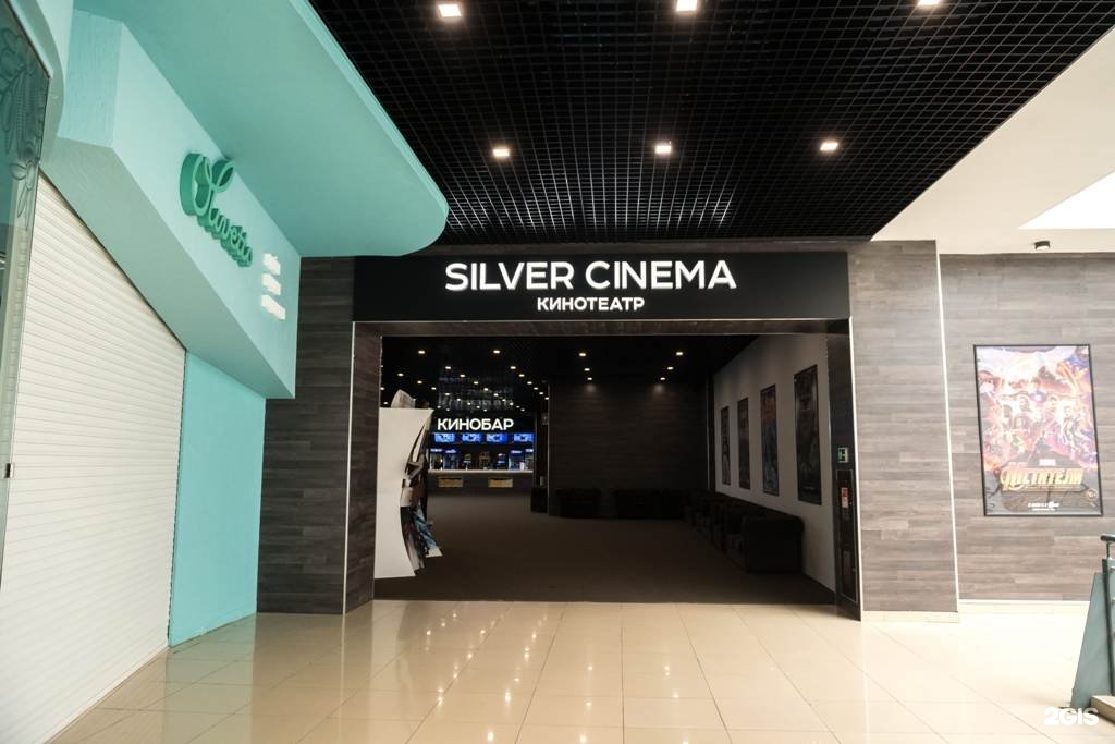 Silver cinema ул пушкина 125 фото