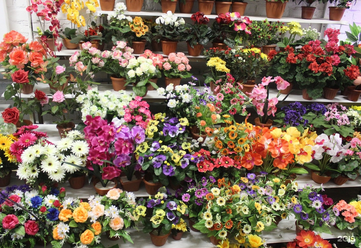 Где В Омске Купить Цветы Недорого