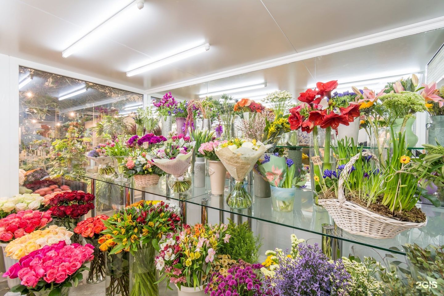 Где Купить Цветы В Приморском Районе