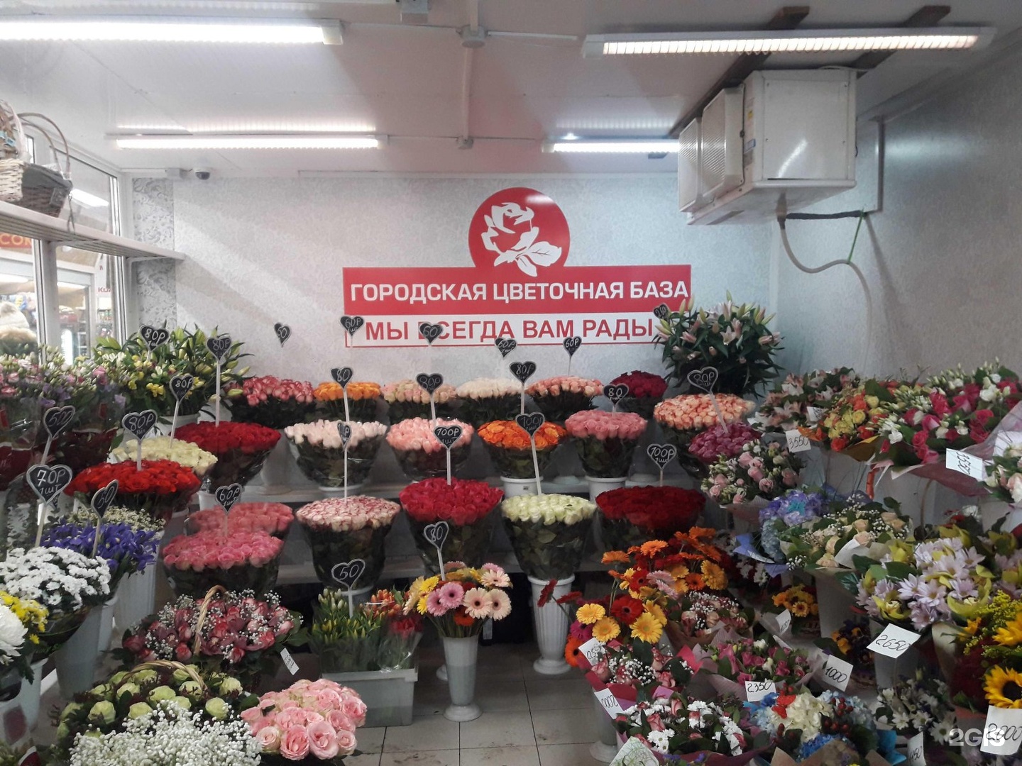 Городская база цветов Ивантеевка Новоселки