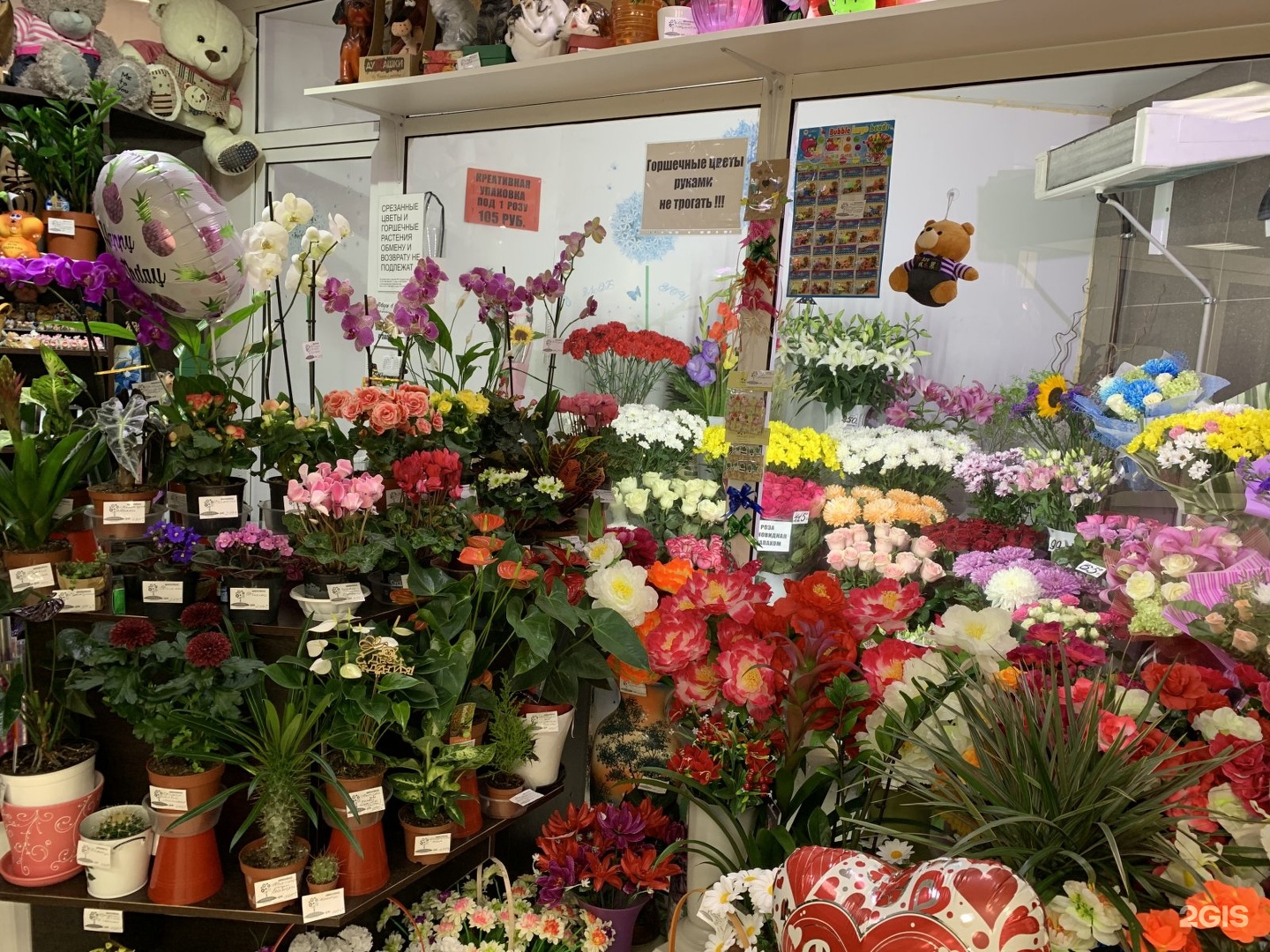 Где Можно Купить Цветы В Комсомольске