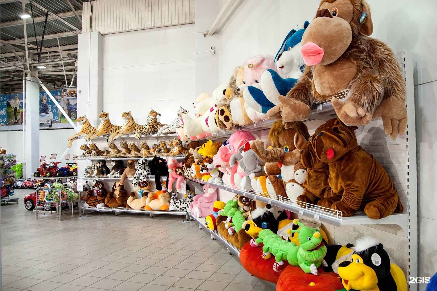 Где Купить Мягкие Игрушки В Красноярске