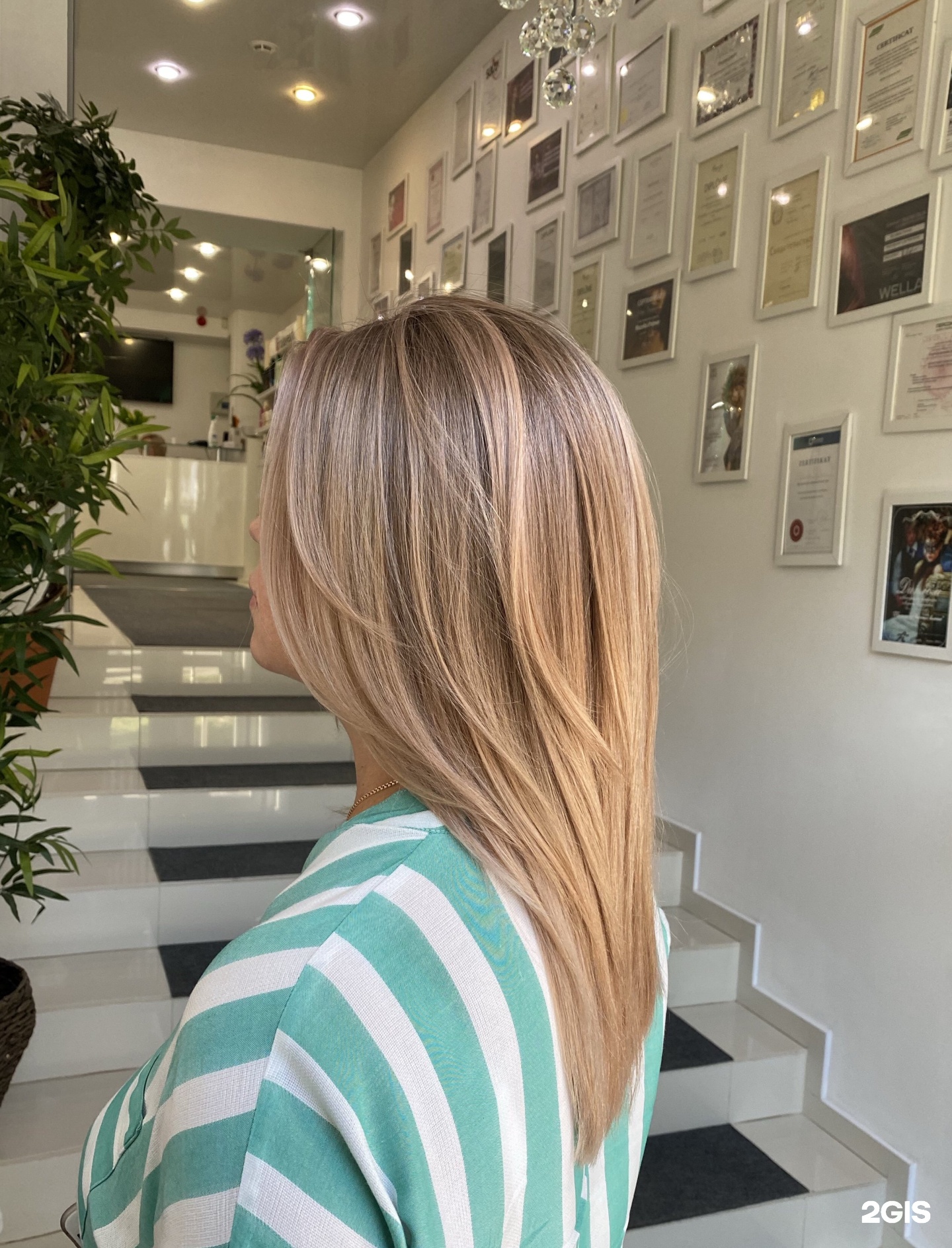 Райская птица самара салон димитрова. Райская птица салон красоты самара. Георгия димитрова 131 райская птица. Птицы салона. Райская птица самара салон.