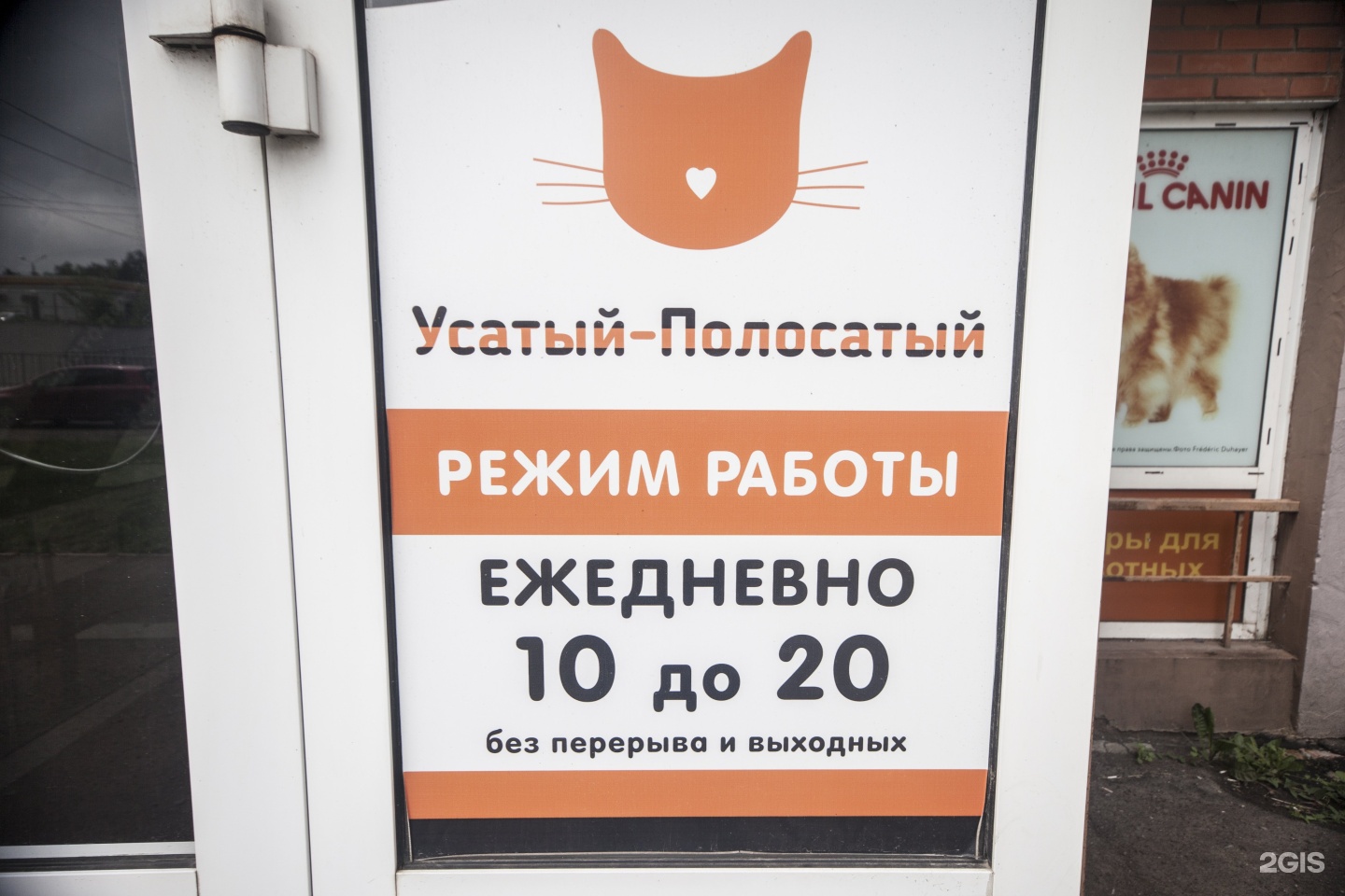 Усатый полосатый зоомагазин тула. Усатый полосатый зоомагазин. Усатый полосатый проспект Ленина 112а. Усатый полосатый Абакан.