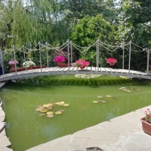 Фото от владельца Волгоградский региональный ботанический сад