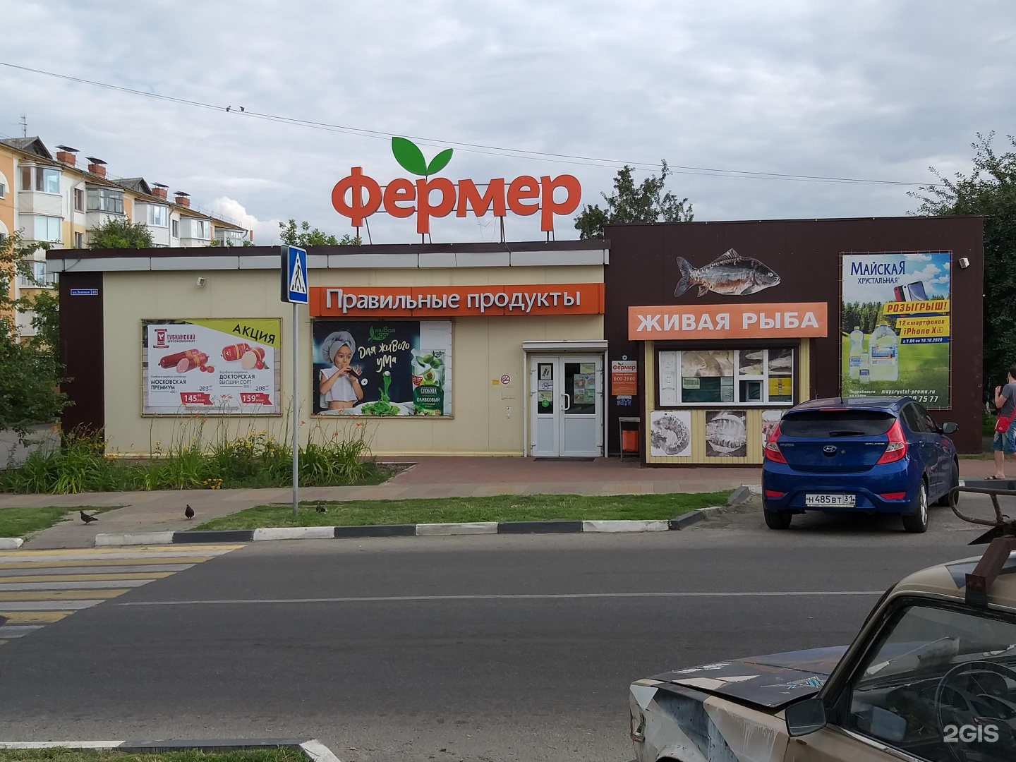 белгород дубовое пицца фото 36