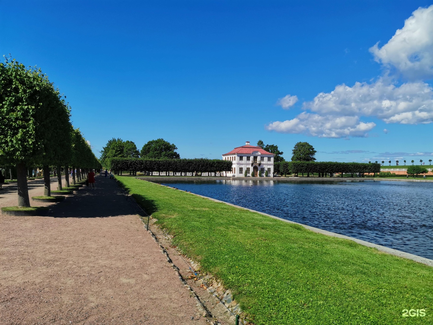 марли в санкт петербурге