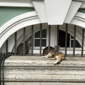 Фото от владельца Государственный Эрмитаж