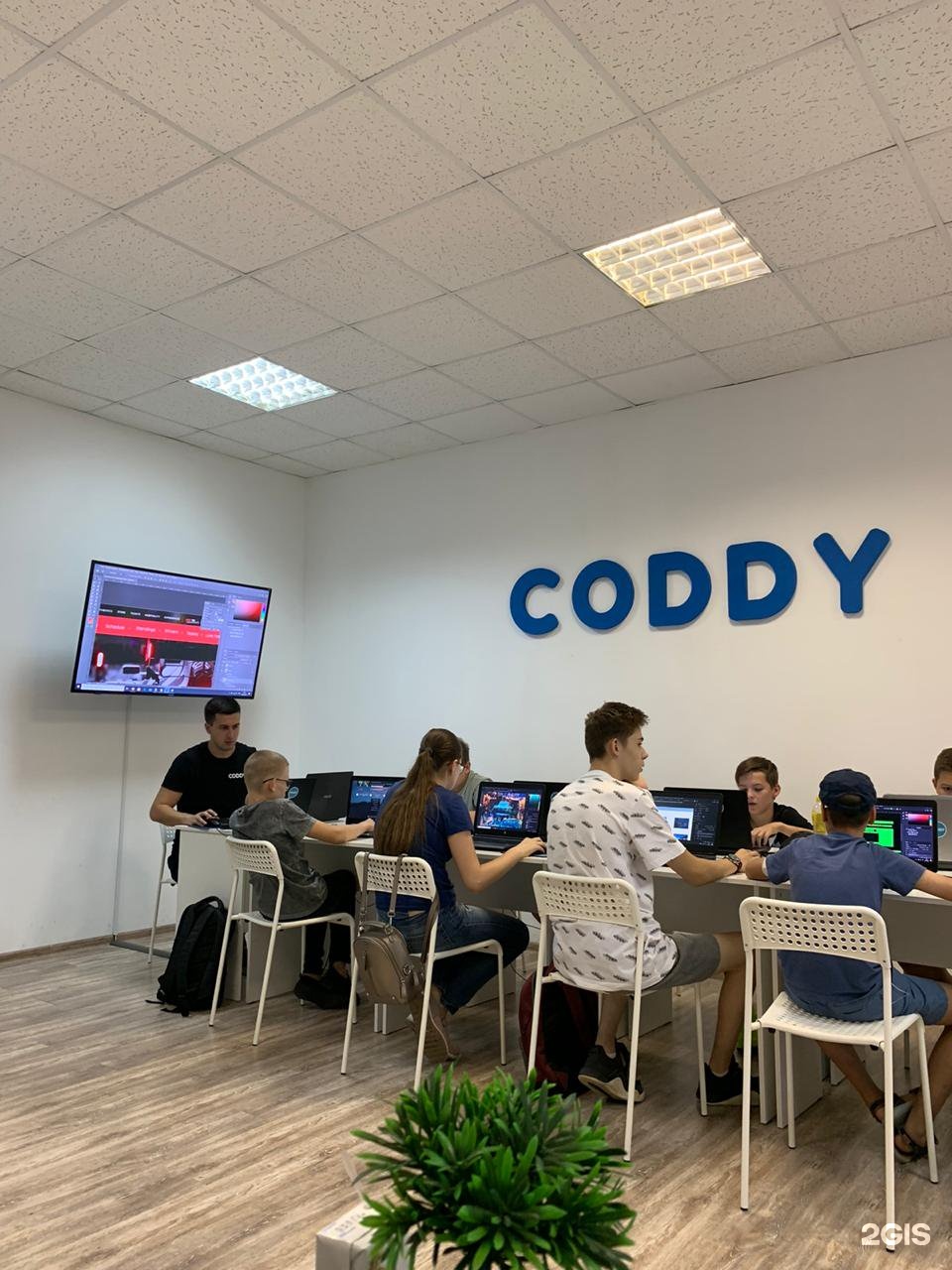 Coddy школа программирования. Школа программирования. Coddy. Кодди школа программирования. Coddy логотип.