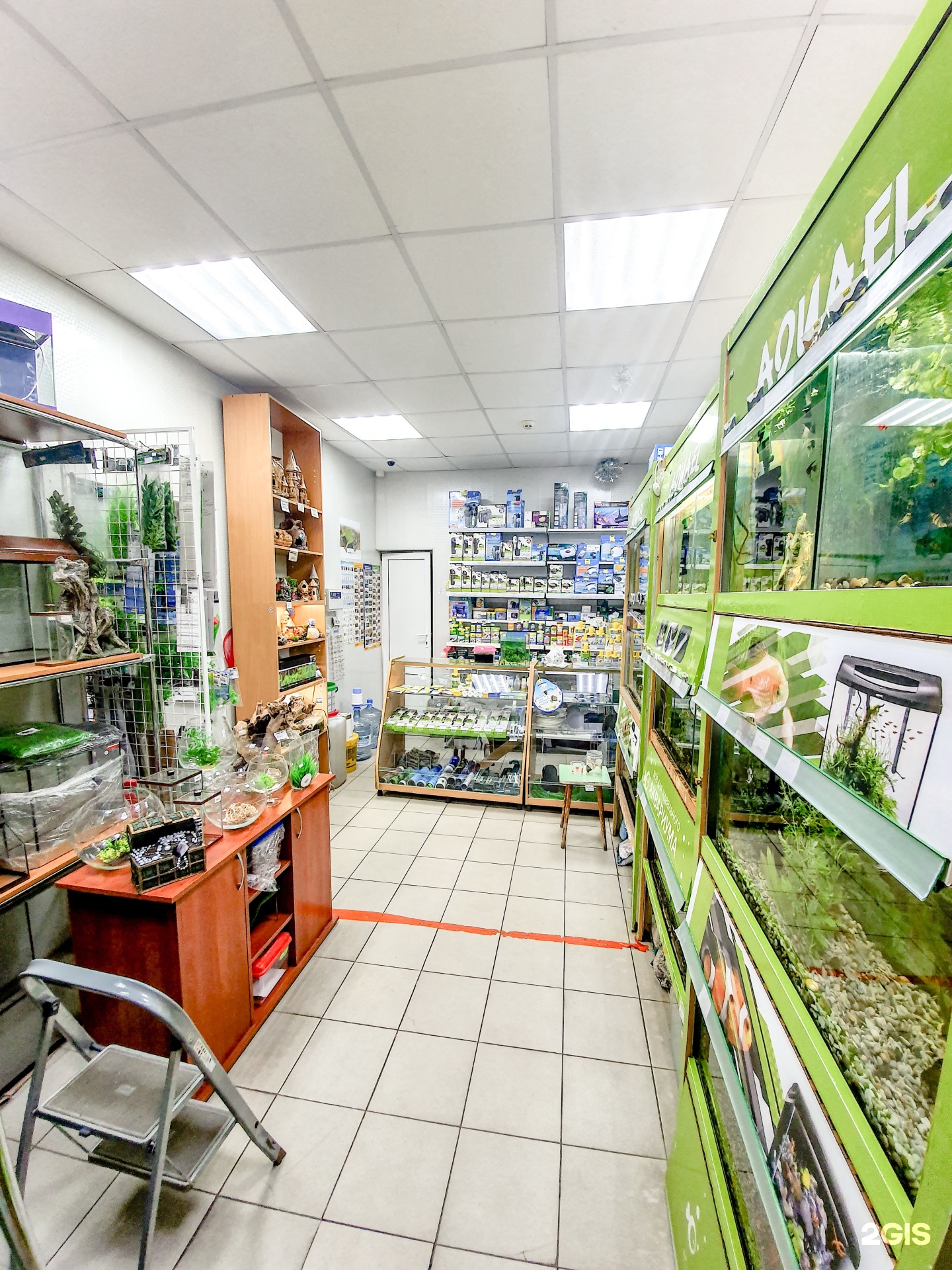 зоомагазин ростов. планета экзотики зоомагазин в москве. зоомагазин два кота ростов на дону. зоомагазины ростова на дону. два зоомагазин.