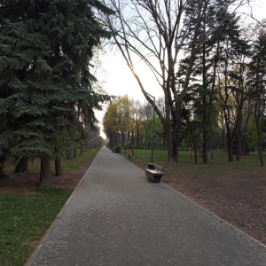 Фото от владельца Быханов сад, парк