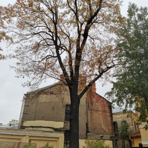 Фото от владельца Юсуповский Дворец на Мойке, музей