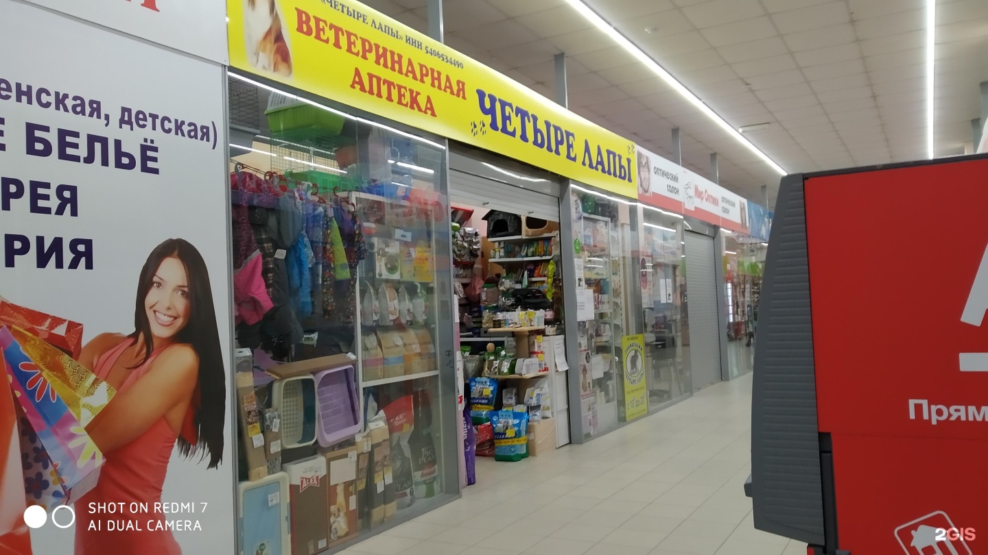 красный кролик новосибирск. мокрый нос зоомагазин москва бренд. ип акимова антонина александровна магазин "хороший". тц малинка новосибирск. зоомагазин в новосибирске с животными.