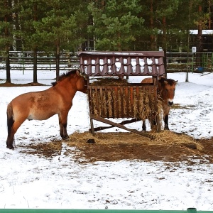 Фото от владельца Ярославский зоопарк