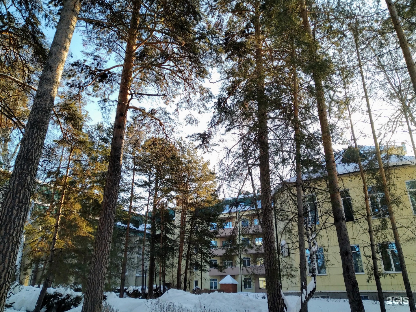 Бердский санаторий. Красный Сокол Бердск. Санаторий Парус Бердск. Бердский залив санатории. Бердский санаторий 40.