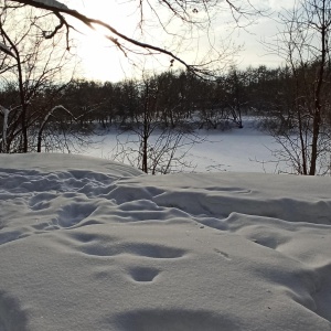 Фото от владельца Городской парк культуры и отдыха им. Виктора Талалихина