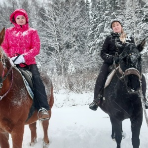 Фото от владельца Royal Horse, конный клуб