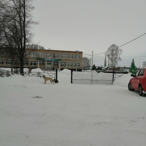 Фото от владельца Нижнесуыксинская средняя общеобразовательная школа