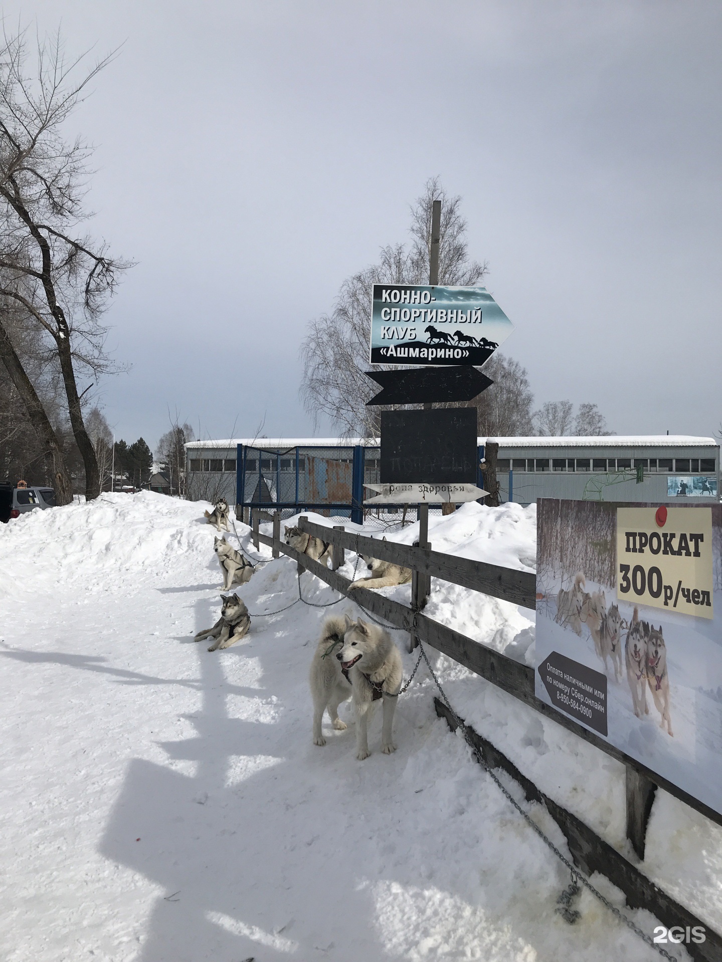 новокузнецк зоопарк