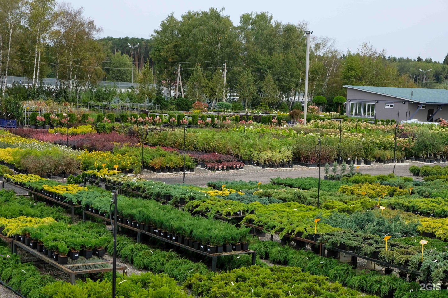 Марусин сад садовый центр на киевском шоссе