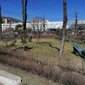 Фото от владельца Бородино, торговый центр