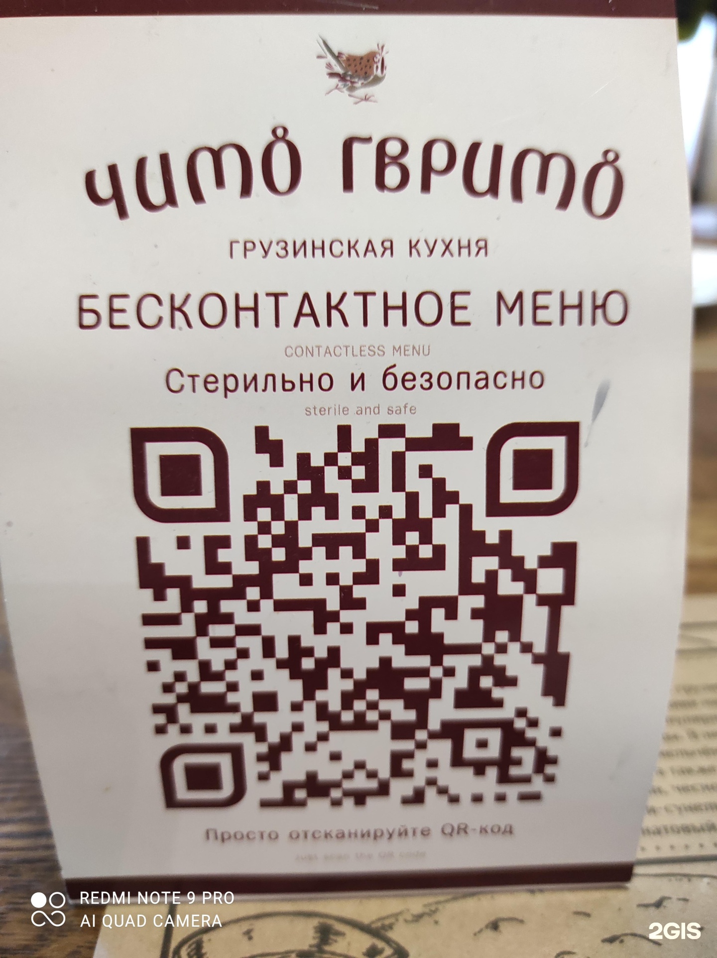 Кафе Чито Гврито СПБ меню. Чито Гврито СПБ меню и цены.