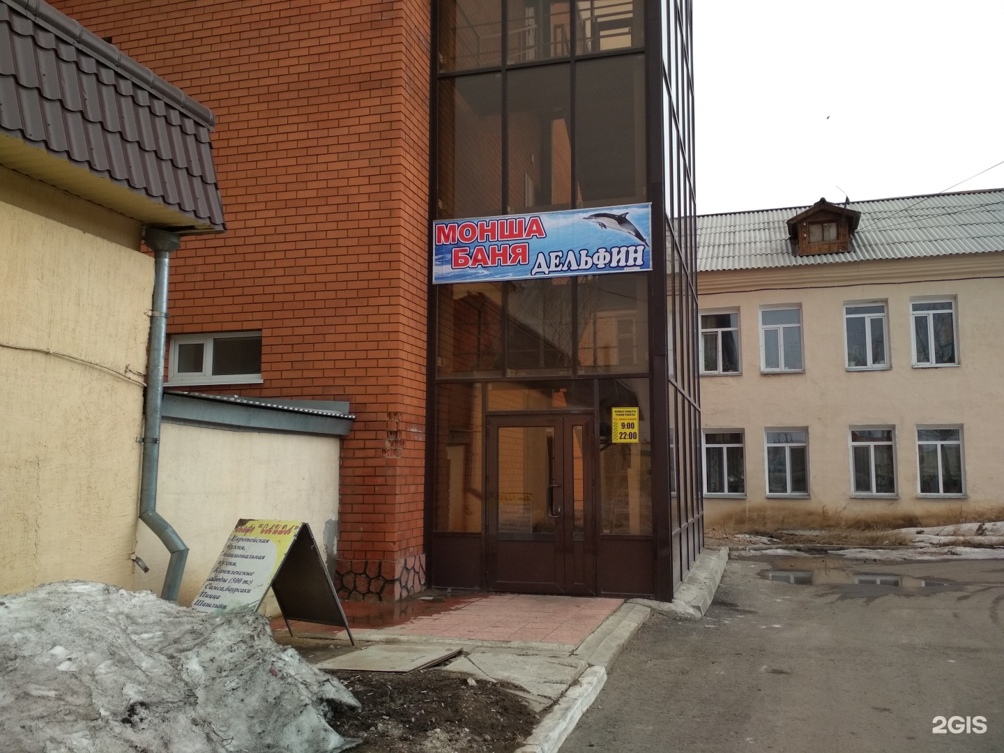 Дельфин