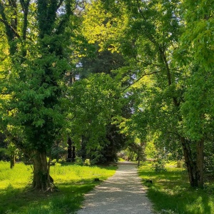 Фото от владельца Южные культуры, парк