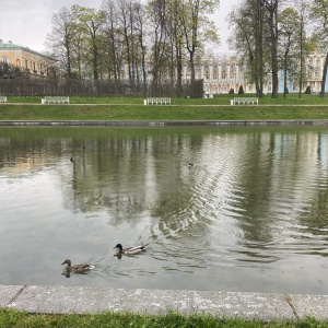 Фото от владельца Царское Село, государственный музей-заповедник