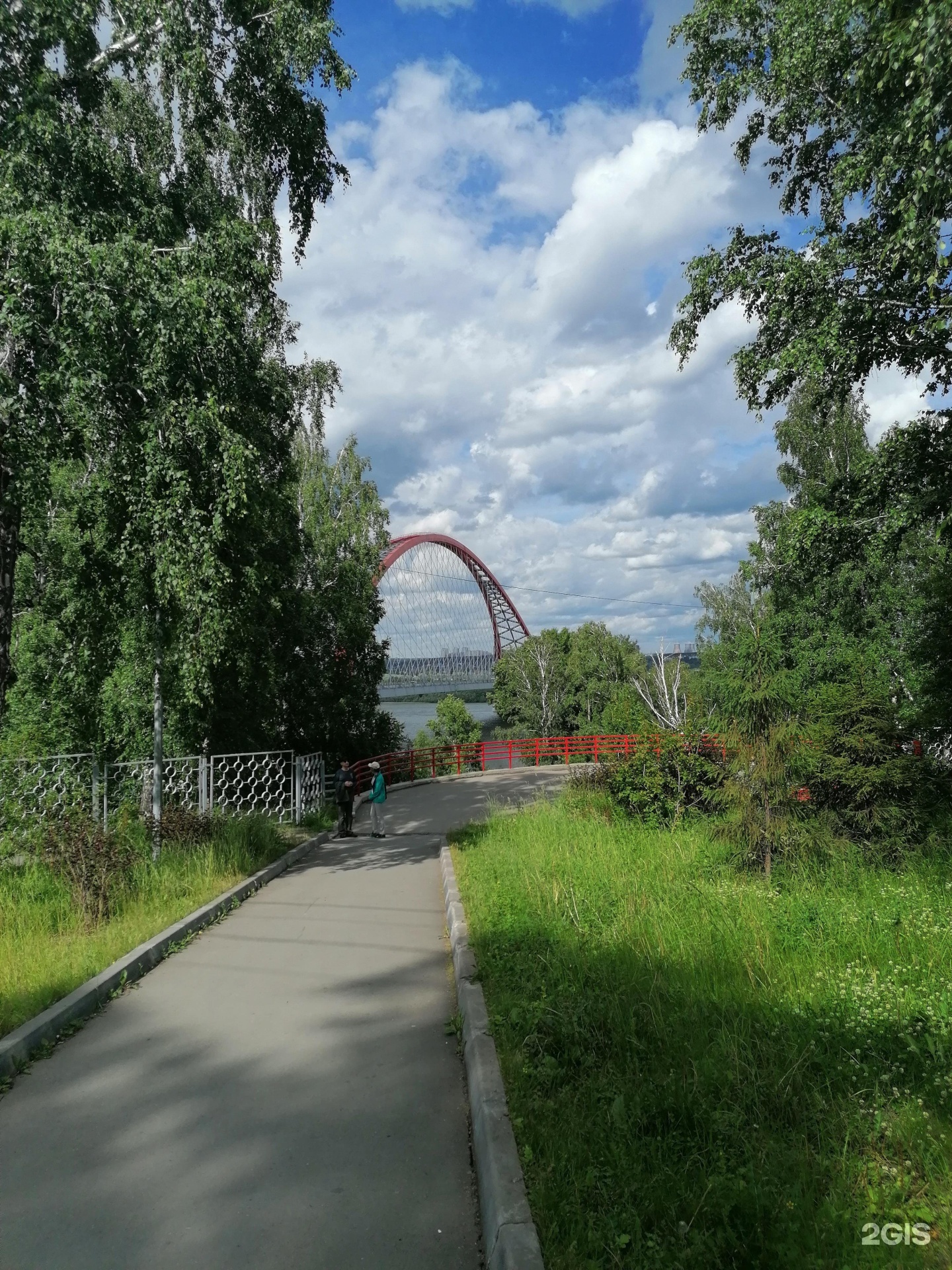 Бугринская роща Новосибирск. Парк культуры и отдыха Бугринская роща. Бугринская роща Джуманджи. Бугринская роща беседки.