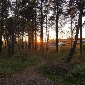 Фото от владельца Сосновый бор, парк культуры и отдыха