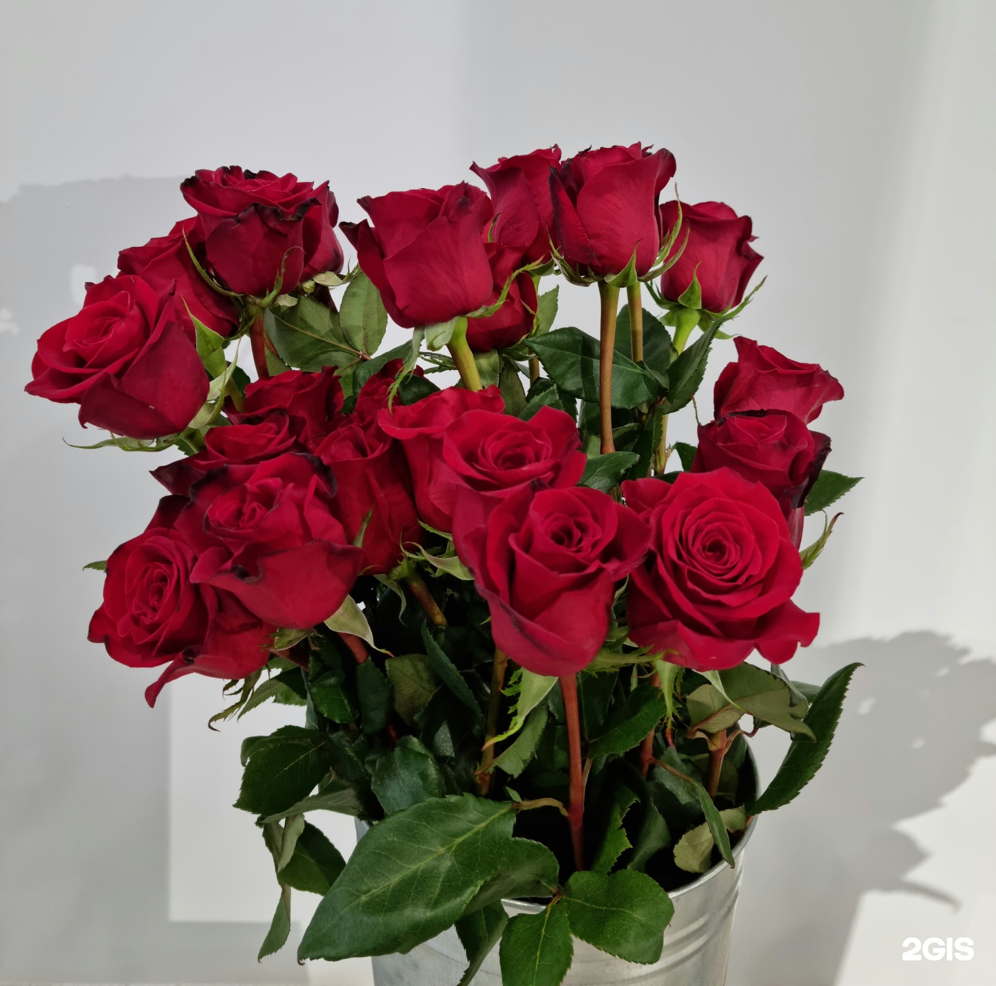 Купить Цветы На Авито Батайск