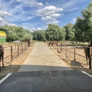 Фото от владельца Авангард, конно-спортивный клуб