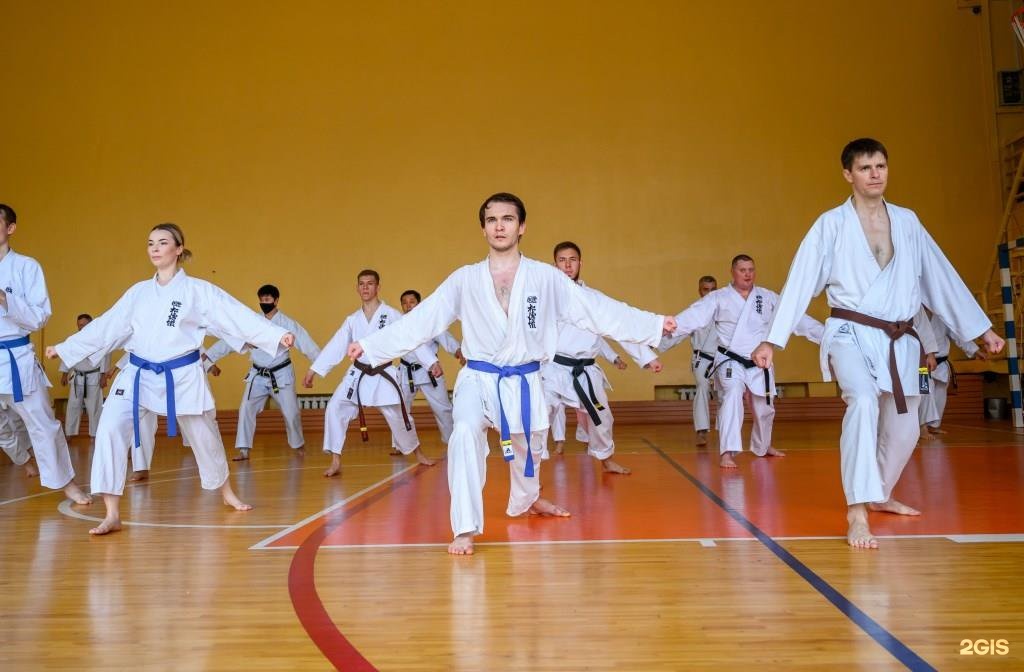 Shotokan Karate пояса