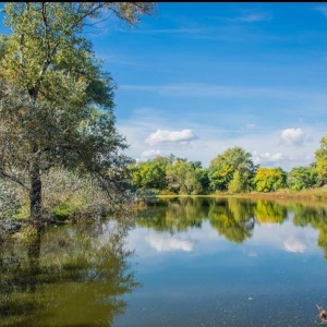 Фото от владельца Парк культуры и отдыха им. Савицкого