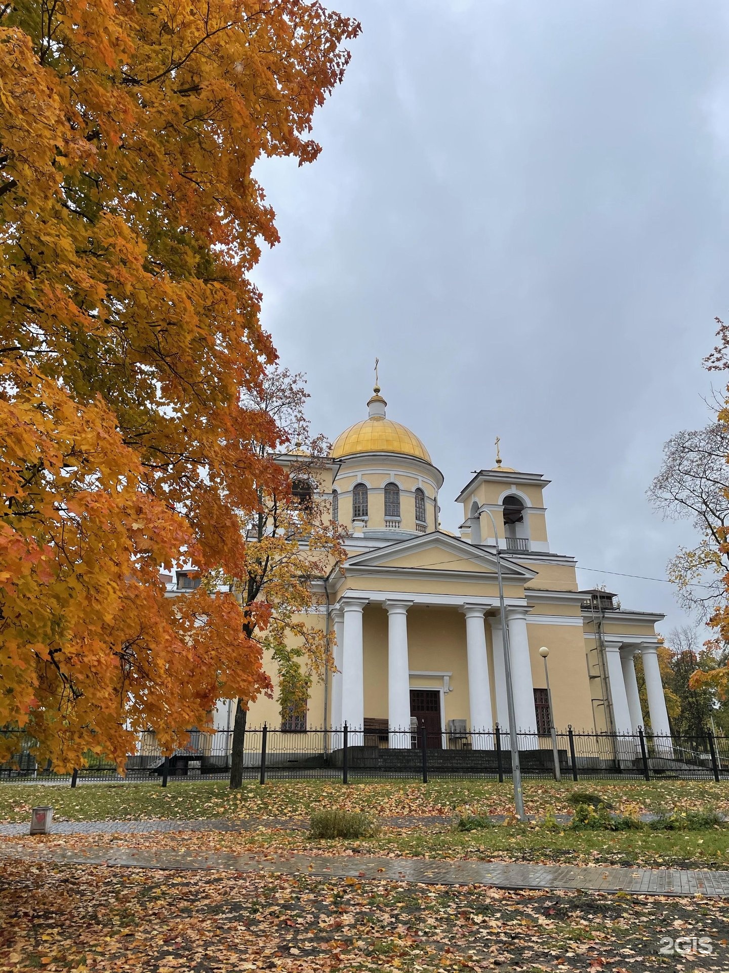 Фото александро