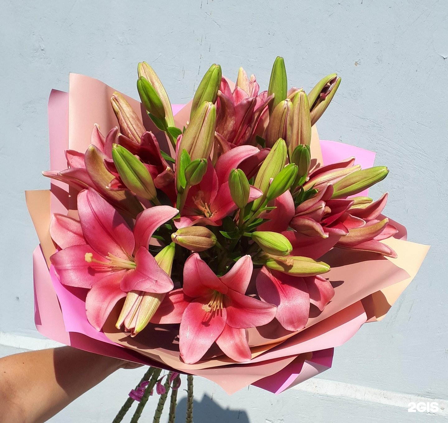 Цветы таганрог недорого. Бутон таганрог магазин. Цветы таганрог. Букет с гортензией и герберами. Цветы таганрог недорого.