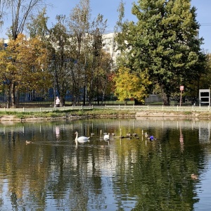 Фото от владельца Лианозовский, парк культуры и отдыха