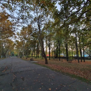 Фото от владельца Солнечный остров, парк культуры и отдыха