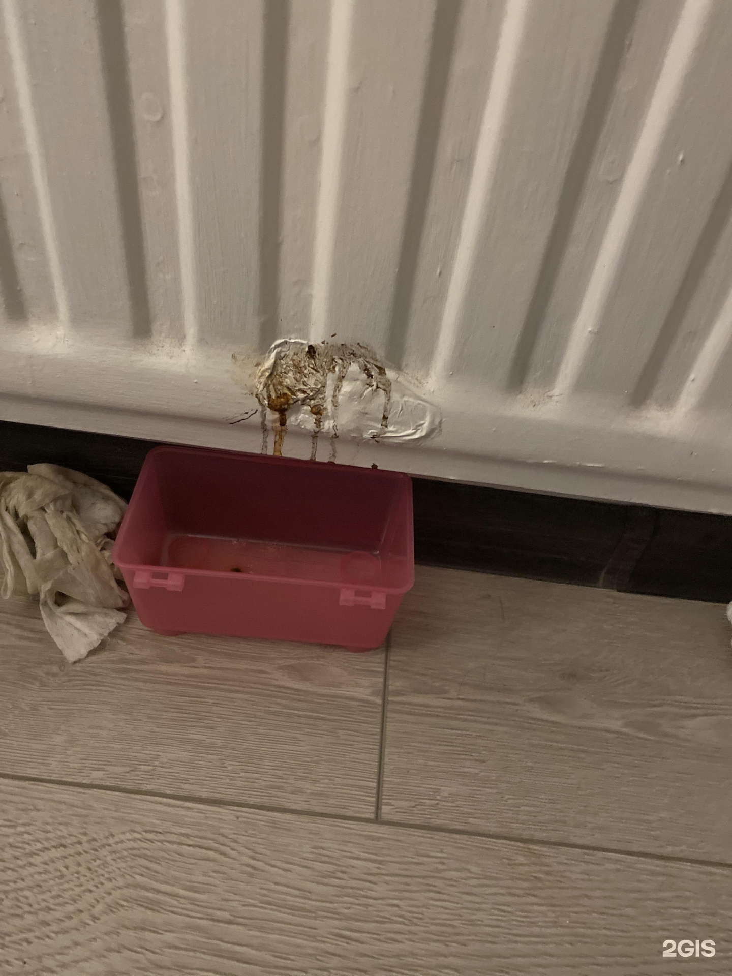 мурино, улица шоссе в лаврики, 55 планировка. новое девяткино элис. школа в новом девяткино. управляющая компания новое девяткино. новое девяткино арсенальная д.