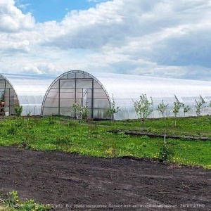 Фото от владельца Завод готовых теплиц, ООО