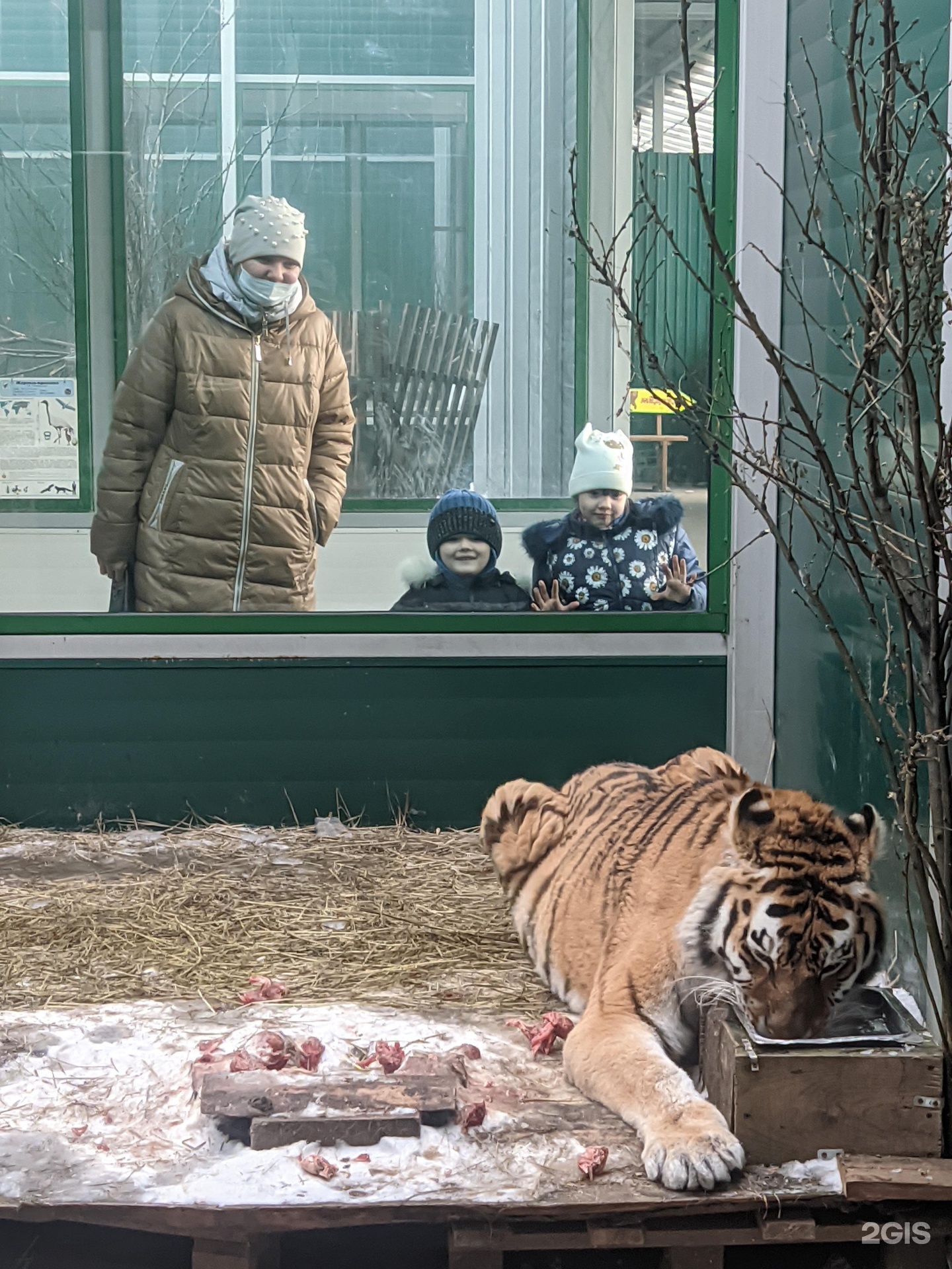 зоопарк иркутск
