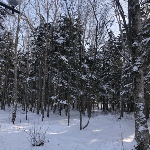 Фото от владельца Городской парк культуры и отдыха им. Ю.А. Гагарина