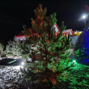 Фото от владельца Елочный базар