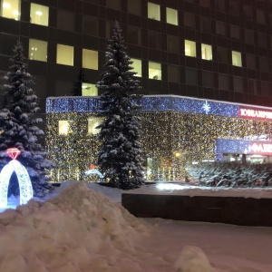 Фото от владельца РУССКИЕ САМОЦВЕТЫ, бизнес-центр