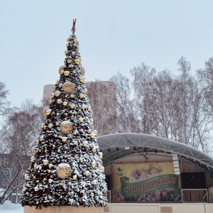 Фото от владельца Берёзовая роща, парк культуры и отдыха