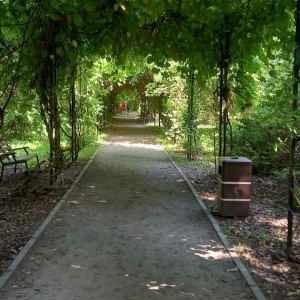 Фото от владельца Ботанический сад, БФУ