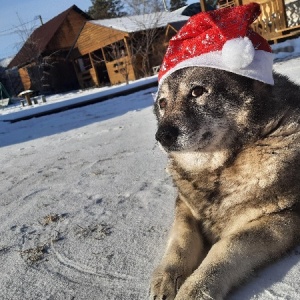 Фото от владельца У Матюши, усадьба