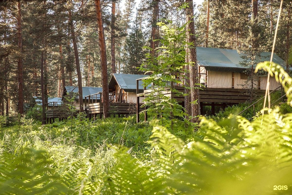 Чепош парк сайт. Чепош горный Алтай. Чепош парк Алтай горный Алтай. Чепош парк отель. Чепош парк Чемальский район.